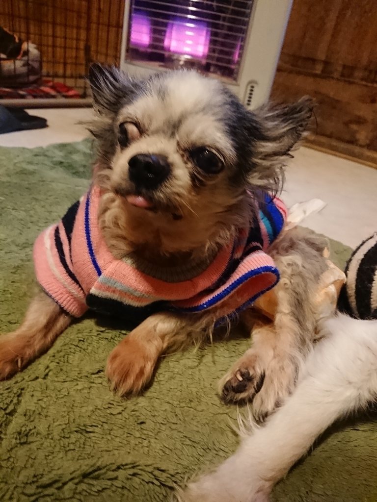 f:id:roukenhome-ann:20190214213106j:plain