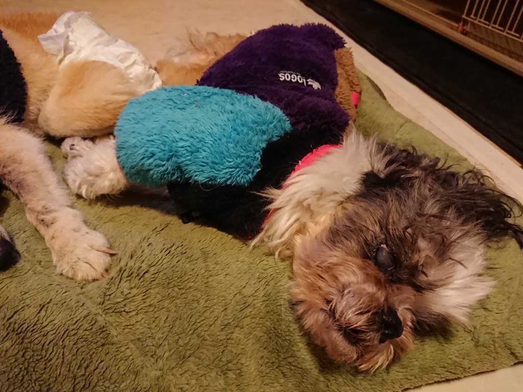 f:id:roukenhome-ann:20190214213159j:plain