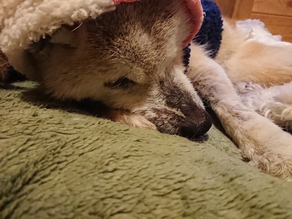 f:id:roukenhome-ann:20190214213504j:plain