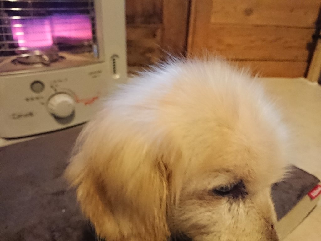 f:id:roukenhome-ann:20190214213825j:plain