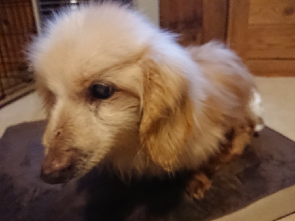 f:id:roukenhome-ann:20190214213925j:plain