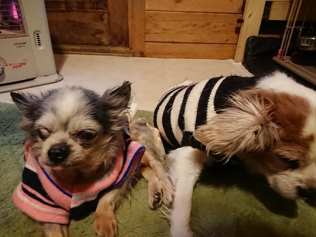 f:id:roukenhome-ann:20190214214012j:plain
