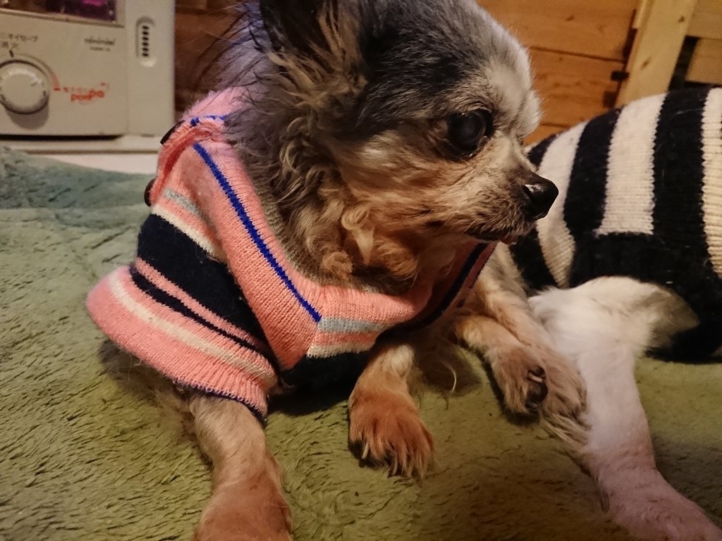 f:id:roukenhome-ann:20190214214112j:plain