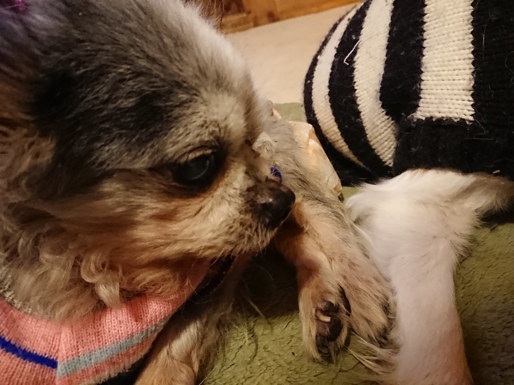 f:id:roukenhome-ann:20190214214305j:plain