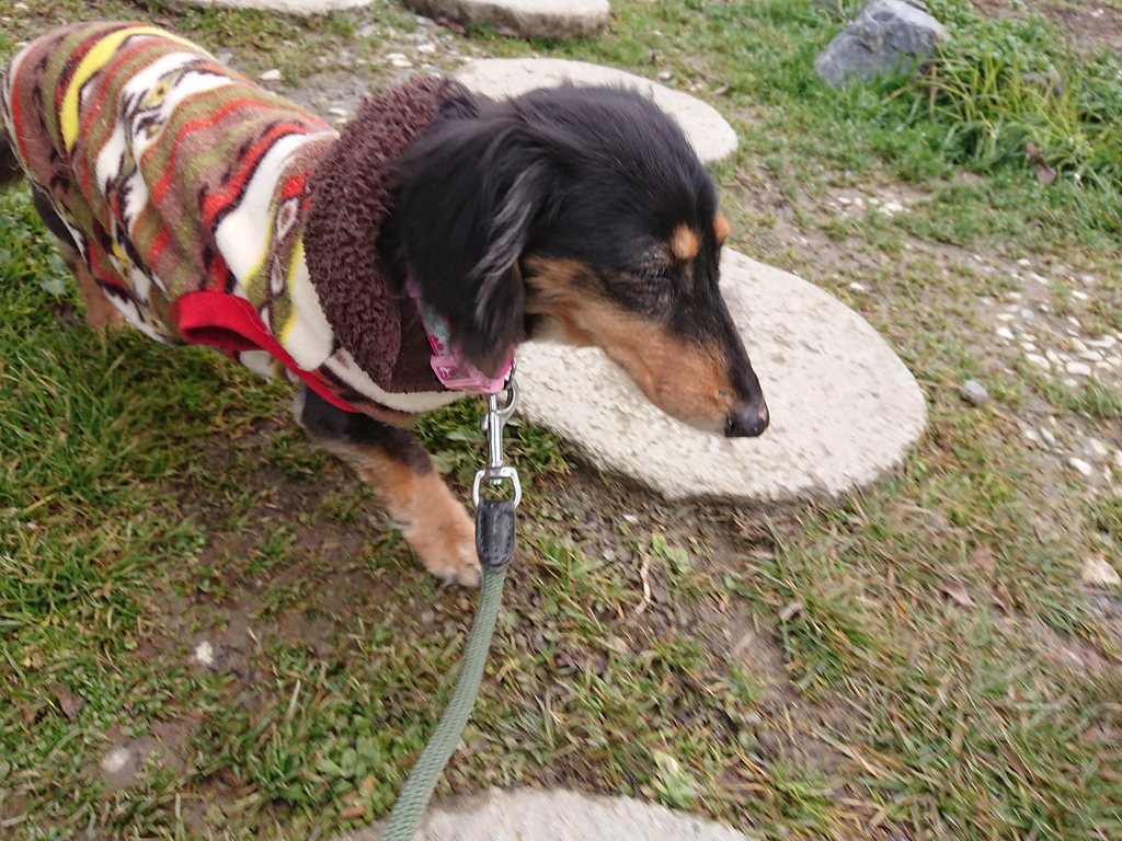 f:id:roukenhome-ann:20190214215118j:plain