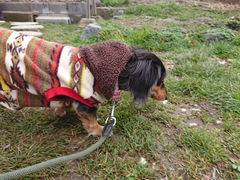 f:id:roukenhome-ann:20190214215232j:plain