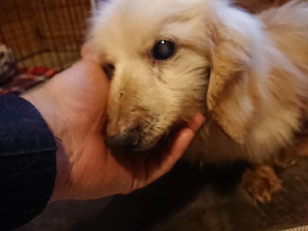 f:id:roukenhome-ann:20190214215326j:plain
