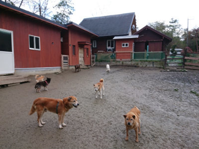 f:id:roukenhome-ann:20190214220329j:plain