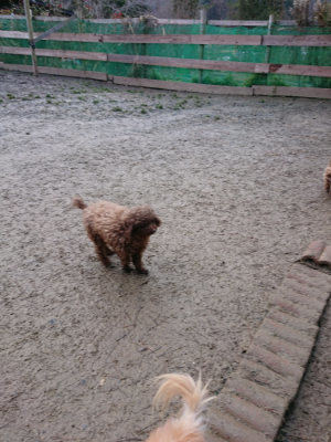 f:id:roukenhome-ann:20190214220351j:plain