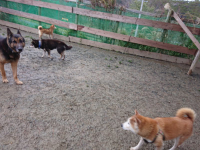 f:id:roukenhome-ann:20190214220400j:plain