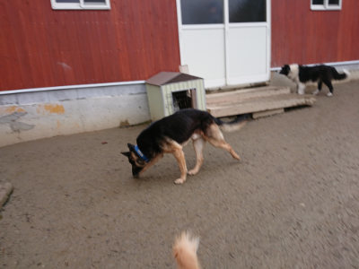f:id:roukenhome-ann:20190215052300j:plain