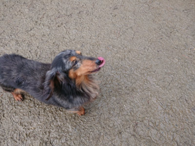 f:id:roukenhome-ann:20190215052425j:plain