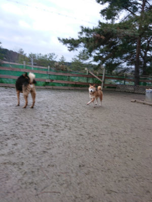 f:id:roukenhome-ann:20190215052436j:plain