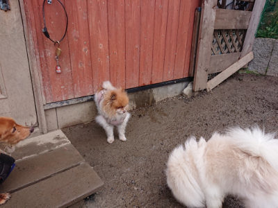 f:id:roukenhome-ann:20190215052504j:plain