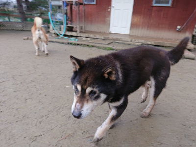 f:id:roukenhome-ann:20190215052551j:plain