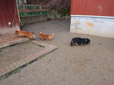 f:id:roukenhome-ann:20190215052557j:plain