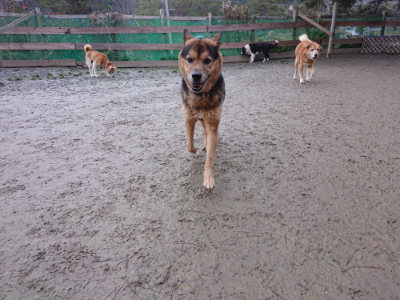 f:id:roukenhome-ann:20190215053532j:plain