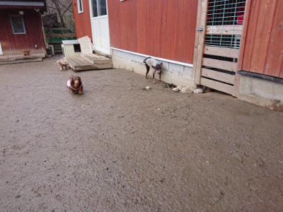 f:id:roukenhome-ann:20190215053604j:plain