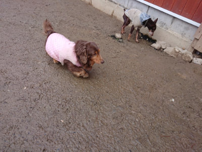 f:id:roukenhome-ann:20190215053636j:plain