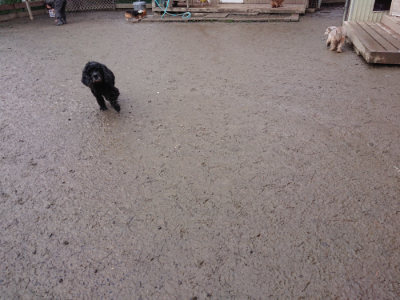 f:id:roukenhome-ann:20190215053641j:plain