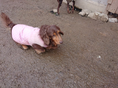 f:id:roukenhome-ann:20190215053702j:plain