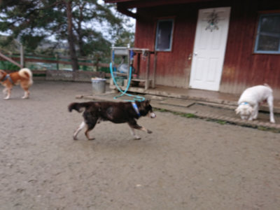 f:id:roukenhome-ann:20190215053915j:plain