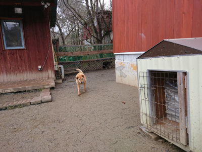 f:id:roukenhome-ann:20190215054109j:plain