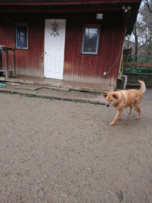 f:id:roukenhome-ann:20190215054114j:plain