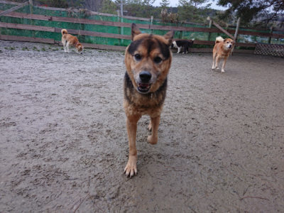 f:id:roukenhome-ann:20190215054131j:plain