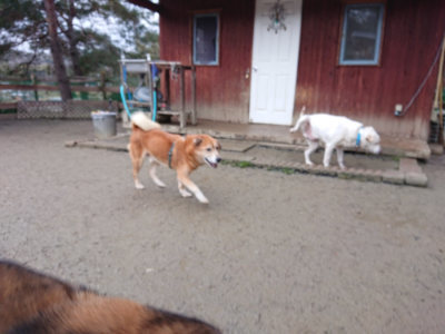 f:id:roukenhome-ann:20190215054141j:plain