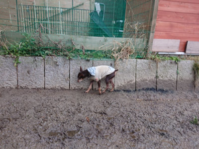 f:id:roukenhome-ann:20190215054151j:plain