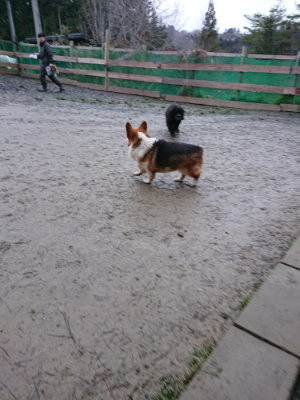 f:id:roukenhome-ann:20190215054202j:plain