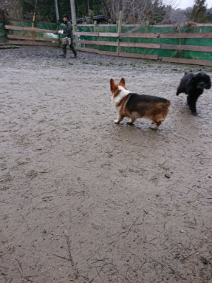 f:id:roukenhome-ann:20190215054223j:plain