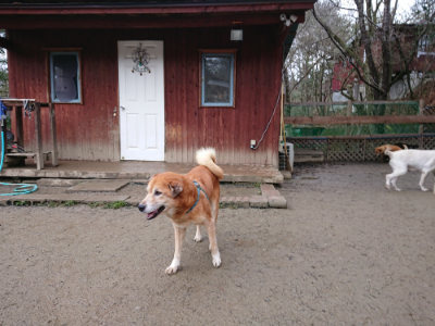 f:id:roukenhome-ann:20190215054239j:plain
