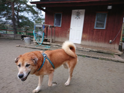f:id:roukenhome-ann:20190215054305j:plain
