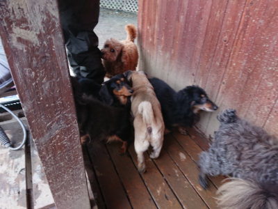f:id:roukenhome-ann:20190215075355j:plain