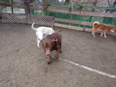 f:id:roukenhome-ann:20190215075401j:plain