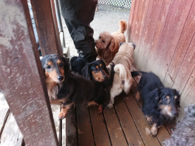 f:id:roukenhome-ann:20190215075425j:plain