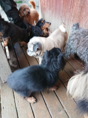 f:id:roukenhome-ann:20190215075436j:plain