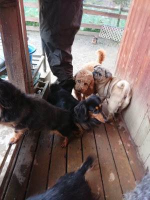 f:id:roukenhome-ann:20190215075510j:plain