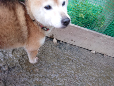 f:id:roukenhome-ann:20190215075620j:plain