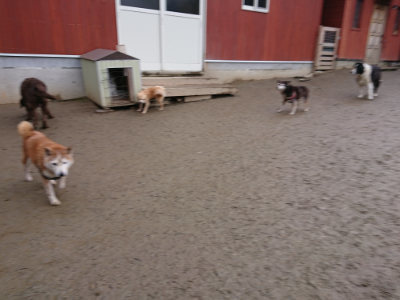 f:id:roukenhome-ann:20190215075656j:plain