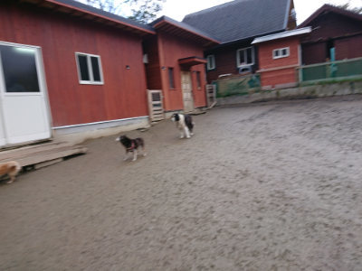 f:id:roukenhome-ann:20190215075821j:plain