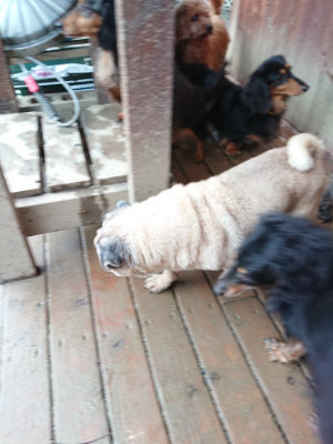 f:id:roukenhome-ann:20190215075843j:plain