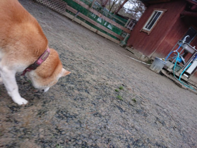 f:id:roukenhome-ann:20190215075849j:plain