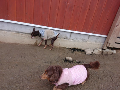 f:id:roukenhome-ann:20190215075859j:plain