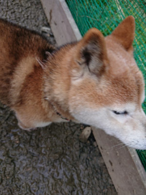 f:id:roukenhome-ann:20190215080641j:plain