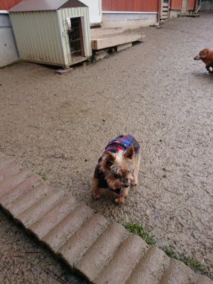 f:id:roukenhome-ann:20190215080715j:plain