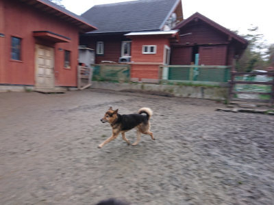 f:id:roukenhome-ann:20190215081354j:plain