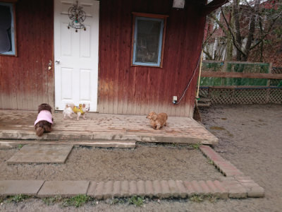 f:id:roukenhome-ann:20190215081406j:plain
